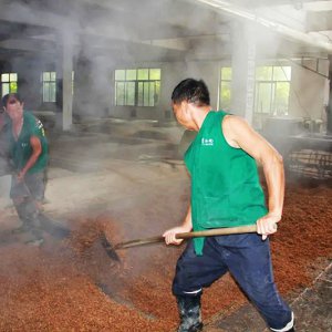 喚醒兩千余條窖池，新的釀酒季由此開始